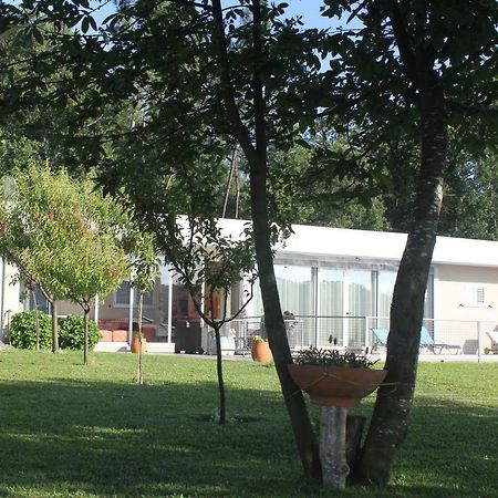 Manuel Tiago Pereira Villa Braga Dış mekan fotoğraf
